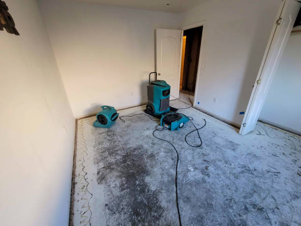 Odor Removal and Sanitization After Water Damage